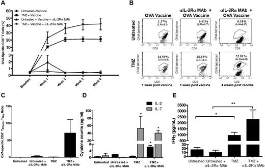 Figure 4. Anti–IL-2Rα mAb blockade synergizes with TMZ-induced lymphodepletion to enhance antigen-specific immunity. (A) Forty-eight hours after TMZ treatment, lymphodepleted or untreated C57BL/6 mice received OVA vaccination with or without simultaneous anti–IL-2Rα mAb treatment (n = 5/group). Immune responses were monitored for 1 month by FACS analysis of peripheral blood OT-I T-cell levels. This experiment was repeated twice with similar results, and unpaired t tests were generated against the untreated + vaccine cohort; TMZ + vaccine and TMZ + vaccine + αIL-2Rα mAb cohorts were significantly different from untreated + vaccine for weeks 1 to 4. Baseline values were determined in untreated and TMZ-treated mice that did not receive vaccination. At week 4, the percentage of CD8+ T cells observed with TMZ significantly increased with the addition of anti–IL-2-Rα mAb (P = .036). (B) Representative FACS plots shown at 1 and 4 weeks after vaccination. (C) To determine the ratio of effector cells to TRegs, the absolute number of CD8+OVA+ effectors in peripheral blood 1 week after vaccination was assessed by FACS analysis with OVA+ tetramers and divided by the absolute number of CD4+CD25+Foxp3+ TRegs. (D) Peripheral blood was collected from untreated and TMZ-lymphodepleted (60 mg/kg/5 days) C57BL/6 mice treated with or without αIL-2Rα mAb 72 hours after the termination of TMZ administration. Cytokine levels in plasma were measured by Luminex according to manufacturer's instructions. For cytokine measurements, analysis of variance with interaction was conducted with TMZ and αIL-2Rα mAb as the main effects and their statistical interaction. TMZ + αIL-2Rα had a significant effect on IL-2 production (P = .0005), and TMZ alone had a significant effect on IL-7 production (P = .0001). Asterisks denote significance (P < .05) versus untreated. (E) Memory recall responses were evaluated 5 weeks after vaccination in treated mice by measurement of IFNγ secretion in peripheral blood lymphocytes using CBA. *P = .0082 and **P = .0198 by unpaired t test.