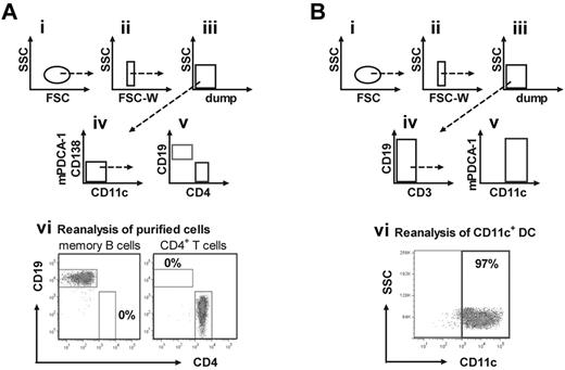 Figure 2. Multistep purification process provides highly purified memory B cells, CD4+ T cells, and CD11c+ DCs. (A) Highly purified memory B cells and CD4+ T cells were obtained from spleens of hemophilic mice treated with 4 weekly doses of 200 ng FVIII. After initial depletion of unwanted cells by magnetic cell separation, wanted cells were purified by flow cytometric single-cell sorting. Presented is the gating strategy (i-iv) for the purification of IgM−IgD−CD138−CD11c−CD19+ memory B cells and CD4+ T cells (dump: remaining unwanted FITC+ cells after initial magnetic cell separation). A representative result of the purity of sorted cell populations (gated on viable cells) is shown in panel vi. (B) Highly purified CD11c+ DCs were obtained from spleens of naive hemophilic mice. After initial depletion of total T cells and other unwanted cell populations using a 2-step magnetic cell separation, CD11c+ DCs were further purified by flow cytometric single-cell sorting. Shown is the gating strategy (i-v) for the purification of CD11c+ DCs (dump: remaining unwanted cells after initial magnetic depletion). A representative result of the purity of sorted CD11c+ DCs (gated on viable cells) is shown in panel vi.