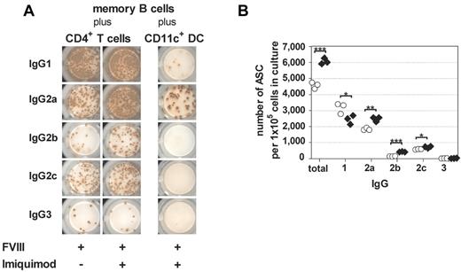 Figure 6. T cell–dependent and T cell–independent restimulation of FVIII-specific memory B cells differ in the IgG subclass distribution of newly formed FVIII-specific ASCs. Purified memory B cells and purified CD4+ T cells were obtained from hemophilic mice treated with 4 weekly doses of FVIII. CD11c+ DCs were obtained from untreated hemophilic mice. Purified memory B cells were restimulated with FVIII (10 ng/mL) or FVIII (10 ng/mL) together with TLR7 agonist imiquimod (100 ng/mL), in the presence of either purified CD4+ T cells or purified CD11c+ DCs. Newly differentiated FVIII-specific ASCs of different IgG subclasses were analyzed after 6 days of culture. Note: The control cultures of memory B cells together with CD11c+ DCs in the absence of TLR7 agonist did not induce any differentiation into FVIII-specific ASCs (see Figure 4A). Therefore, we did not include these data in Figure 6A. (A) Representative ELISPOTs are presented. (B) Quantification of results for T cell–dependent restimulation of memory B cells presented in (A). Results of individual ELISPOT analyses are presented. *P < .05, **P < .01, ***P < .001 for comparison of means. ○ indicates FVIII only; and ♢, FVIII + TLR7 agonist imiquimod.