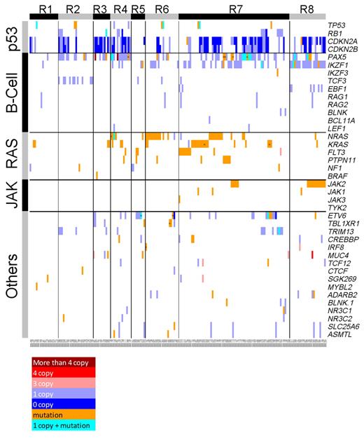 Figure 2. An integrated view of somatic CNA and sequence mutation in genes with recurrent sequence mutations across the 187 patients. Samples are displayed in columns and grouped by their corresponding ROSE clusters.12 Genes are shown in rows grouped by their corresponding pathways. Somatic sequence mutations are marked in orange unless they occur with a somatic deletion (which is shown in cyan). Multiple mutations within a single gene are labeled “x.” Somatic deletions and amplifications are shown in blue and red, and the shades indicate the level of CNAs