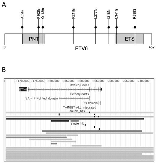Figure 4. Somatic mutations in ETV6. (A) Distribution of somatic sequence mutations in ETV6. The N-terminal pointed (PNT) is involved in protein-protein interactions with itself and other proteins, whereas the C-terminal ETS domain (red) is involved in DNA binding. (B) Single and double mutations in ETV6. The genomic region in display is chromosome 12:11 619 584–12 112 117 (genome build hg18). Each row represents a sample with somatic alterations. Gray lines indicate deletions; and black lines, homozygous deletions. Sequence mutations are shown as vertical black boxes.