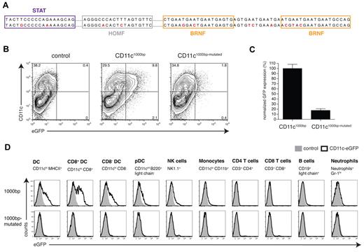Figure 5. Site-directed mutagenesis of the CD11c1000bp promoter sequence. (A) The original CD11c1000bp promoter sequence (top row) was modified by site-directed mutagenesis. The predicted TFBSs are represented by boxes, and the mutated bases are highlighted in red (bottom row). Because of the repetitive sequence structure in the BRNF binding region, additional mutations had to be introduced. (B) Flow cytometric analysis of promoter activity in DCs generated in vitro. At day 1 or 2 of the granulocyte-macrophage colony-stimulating factor culture, bone marrow cells were transduced with lentiviral vectors (CD11c1000bp-GFP and CD11c1000bp-mutated-GFP) at a multiplicity of infection of 1, and GFP expression was analyzed at day 7 of the culture. The control was only treated with polybrene. (C) Results from 2 independently performed experiments are normalized (GFP expression of the CD11c1000bp construct set to 100%). (D) In vivo comparison of the CD11c1000bp and the CD11c1000bp-mutated promoters by flow cytometric analysis of splenocytes from bone marrow chimeras, which were generated and analyzed analogously to Figure 3B. Data are representative of 2 independently performed experiments with 3 mice per group.