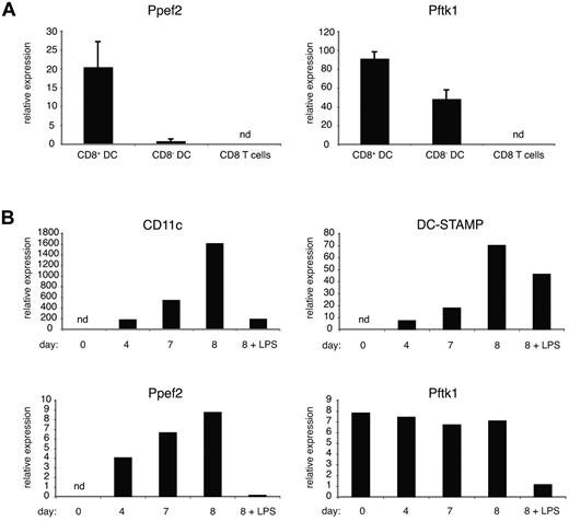 Figure 7. Expression of Ppef2 and Pftk1 in DCs. (A) Gene expression profiling of ex vivo spleen cells. After density enrichment, DCs were sorted on a BD FACSAria instrument based on their expression of CD11c, MHCII, and CD8. CD8 T cells were identified as CD3+, CD8+, and CD4− cells. Gene expression levels were calculated relative to ubiquitin C. Error bars represent SD between 2 independently performed experiments. (B) Gene expression profiling of DCs generated in vitro. Real-time PCR analysis of RNA from samples isolated at days 0, 4, 7, and 8 during DC culture. At day 7, parts of the cultures were stimulated overnight with LPS (2 μg/mL). Shown is relative gene expression after normalization to ubiquitin C. Data are representative of 2 independently performed experiments. nd indicates not detectable.