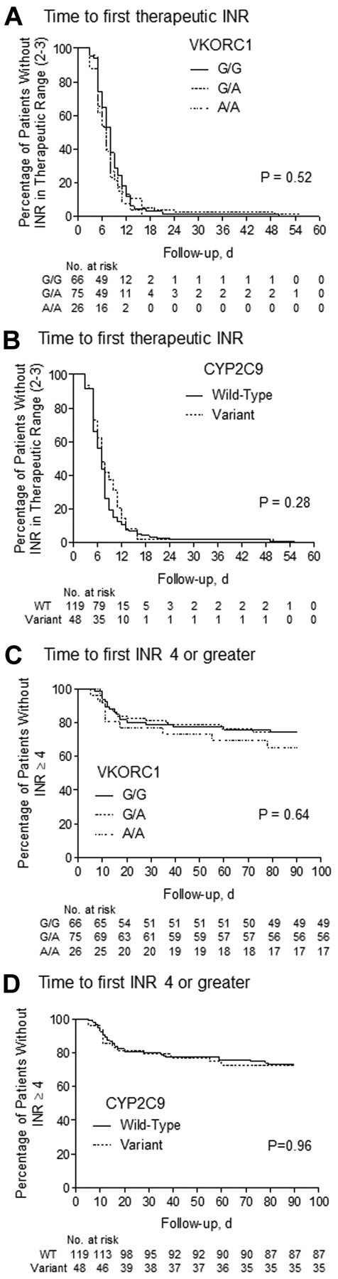 Figure 1. The effect of pharmacogenetics-guided dosing on time to primary events. Kaplan-Meier plots represent the lack of association for attainment of first INR within therapeutic range (2.0-3.0) and first above-range INR (INR ≥ 4) among VKORC1 (A,C) and CYP2C9 (B,D) genotype groups after initiation with WRAPID nomogram. The statistic in each panel represents the log-rank P value for testing the equality of survival functions. WT indicates wild type.
