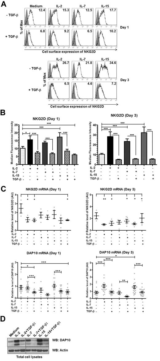 Figure 6. The γc chain cytokines share their ability to regulate the expression of the NKG2D-DAP10 receptor complex. Ex vivo isolated human NK cells were left untreated (medium) or were stimulated with IL-2, IL-7, IL-15, TGF-β1, or combinations as indicated for either 1 or 3 days. (A) Gray-filled histograms represent isotype control staining while black line histograms show staining with anti-NKG2D antibody from a representative experiment. Values in each histogram correspond to the median fluorescence intensity of NKG2D cell-surface staining. (B) Summary of the cell-surface expression of NKG2D on day 1 and day 3, following the indicated treatments. Bar graphs represent the average values of median fluorescence intensity from at least 5 donors; error bars represent SEM. Asterisks indicate the statistical significance (*P < .05; **P < .01; ***P < .005 paired Student t test). (C) NKG2D (top panel) and DAP10 (bottom panel) transcripts were analyzed by qRT-PCR with primer sets specific for each transcript of interest. mRNA expression levels, normalized to 18S rRNA, are presented in arbitrary units. Scatter plots show values for individual donors with mean ± SEM. Each symbol represents a donor. Statistical significance was tested by ANOVA for NKG2D and paired Student t test for DAP10 and indicated by asterisks (*P < .05; **P < .01; ***P < .005). (D) Total cell lysates of primary NK cells, left untreated or stimulated as indicated for 3 days, were immunoblotted with anti-DAP10 antibody. Actin was used as a loading control. The result shown is representative of 4 separate experiments with different donors.
