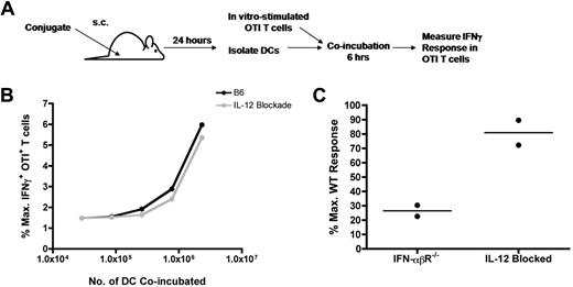 Figure 3. Type I IFN, but not IL-12, is required for cross-presentation. WT, IFN-αβR−/− (A), or IL-12– blocked mice (B,C) were immunized in the footpad with 50 μg OVA-TLR7a conjugate as outlined in panel A. Twenty-four hours after immunization, popliteal LN were harvested as before, the cell suspensions from each mouse group pooled, and the DC purified by flow sort based on CD11c expression. Sorted DCs were incubated at (C) 1 × 106 cells per well or at (B) the indicated titration of cell numbers (DCs from WT and IL-12–blocked mice) with 0.5 × 106 effector OTI T cells differentiated in 5 days of peptide-pulsed culture. The cells were coincubated for 4-6 hours in the presence of brefeldin A and then stained for intracellular IFNγ. Production of IFNγ by OTI T cells was assessed by gating on expression of the congenic marker CD45.1. The level of IFNγ response by the OTI T cells was expressed as a percent of the maximal production of IFNγ induced by DCs pulsed with the SIINFEKL peptide. The data shown are representative of 2 independent experiments.