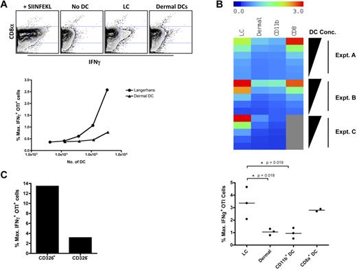 Figure 5. Cross-presentation induced by TLR7 is mediated by LCs and CD8α+ DCs. B6 mice were immunized in the footpad with 50 μg of the OVA-TLR7a conjugate. Twenty-four hours after immunization, popliteal LN were harvested as before, the cell suspensions from each mouse pooled, and the DCs were purified using a flow sorter (MoFlow) based on CD11c expression and the markers outlined in Figure 5A and supplemental Figure 3. (A) DCs were incubated at the indicated cell number and or (C) at 2.5 × 105 cells per well with 0.5 × 106 effector OTI T cells stimulated in 5 days of peptide-pulsed culture. The cells were coincubated for 4 hours in the presence of brefeldin A and then stained for intracellular IFNγ. Production of IFNγ by OTI T cells was assessed by gating on expression of the congenic marker CD45.1. The level of IFNγ response by the OTI T cells was expressed as a percent of the maximal production of IFNγ induced by DCs pulsed with the SIINFEKL peptide. (B) Sorted DCs were available in limited and varied frequencies across the 4 DC subsets as indicated. To normalize for differing range of cell frequencies and to enable comparison of OTI stimulation by various DC subsets, linear regression curves of the OTI response to titrating numbers of DCs for each subset were determined and the magnitudes of the corresponding OTI IFNγ response were normalized to a unified range of DC numbers. To compare the level of cross-presentation by DCs across 3 independent experiments, each DC subset incubated at a given cell concentration with OTI T cells was assigned a color in a heat map representing relative levels of OTI stimulation by each of the 4 DC subsets indicated. A graphical representation of the magnitudes of OTI IFNγ response is also shown for the highest concentration of DCs used in each experiment. The data shown are representative of (A) 6 and (C) 2 independent experiments. Statistical analyses (*) were performed as described in “Statistical analyses.”