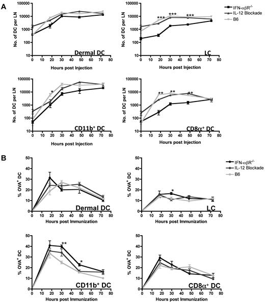 Figure 6. Type I IFN is required for efficient recruitment and accumulation of LCs and CD8α+ DCs in skin-draining LNs. B6, IFN-αβR−/−, and IL-12–blocked mice were immunized in the footpad with 5 μg of OVA-TLR7a conjugate labeled with the fluorescent dye, Alexa-Fluor 488. At the indicated time points after immunization, popliteal LN draining the foot were harvested, minced, and digested with collagenase/DNase. Cells were then stained for the various markers shown and identified using the gating strategy outlined in Figure 5A and supplemental Figure 3. The frequency of each DC subset (A) or the proportion of cells bearing the antigen in each DC subset (B) are shown. The data shown are representative of 2 independent experiments using 3 mice per group. Statistical analyses (*) were performed as described in “Statistical analyses.” The summary of P values, as indicated by (*), denote statistical significance of differences between the means of the WT or IL-12Rβ1−/− mouse and the means of IFN-αβR−/− mouse.