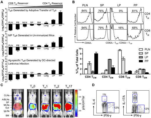 Figure 2. Various types of CD4 and CD8 TMs show a similar polarized tissue distribution. (A) Tissue distribution of CD4 and CD8 TMs of various originalities. Top: CD4 and CD8 TMs (gated as Thy1.2+CD4+ and Thy1.2+CD8+, respectively) generated in the Thy1.1 congenic mice 2 months after transfer of a mix of equal number (10 × 106) of B6 CD4 and CD8 TEs; middle: memory-phenotype (MP) CD4 TMs (gated as CD4+CD25−CD44hi, CD25 staining was included to gate off Tregs) and CD8 TMs (gated as CD8+TCRβ+CD44hi, TCRβ staining was included to gate off the CD8+ nonαβ T cells present in some tissues) spontaneously generated in 1-year-old B6 mice (similar results were observed for B6 mice aged from 3 months to 1 year); and bottom: OVA antigen-specific OT2 TMs (gated as CD4+CD25−TCRVβ5+CD44hi, CD25 staining was included to gate off Tregs) and OT1 TMs (gated as CD8+TCRVβ5+CD44hi) generated in OT2 or OT1 transgenic mice 2 months after infection with 1 × 108 TU DC-directed lentivirus expressing OVA antigen. Data are presented as mean ± SEM (n = 4). (B) Tissue distribution of CD4 and CD8 TCMs and TEMs. Various tissues were harvested from 1-year-old B6 mice and analyzed for the presence of MP CD4 and CD8 TCMs and TEMs (gated as CD4+CD25−CD44hiCD62L+, CD4+CD25−CD44hiCD62L−, CD8+TCRβ+CD44hiCD62L+, or CD8+ TCRβ+CD44hiCD62L−, respectively) using flow cytometry. Histogram plots (top) and quantification of TMs (bottom) are shown. Data are presented as mean ± SEM (n = 4). TCMs indicates central memory T cells; and TEMs, effector memory T cells. (C) Visualization of the CD4 TMs formed in abino B6 mice each receiving 1 × 106 MFG-labeled CD4 TEs that had been differentiated in vitro into TH0, TH1, TH2, or TH17 cells using BLI. Representative BLI images collected 2 months after adoptive transfer are shown (n = 4). Schematic showing the individual tissue localization in mice is provided for reference. (D) Functional analysis of MP CD4 TMs residing in PPs of 1-year-old B6 mice. PP cells (pool of 4 mice) were stimulated with PMA + Ionomycin in vitro for 6 hours and analyzed for the cytokine production of CD4 TMs (gated as CD4+CD44+) using flow cytometry. Contour plots representative of 3 independent experiments are shown.