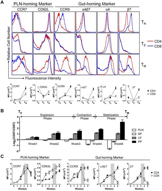 Figure 3. CD4 and CD8 TMs differ on their expression of gut-homing markers. (A) Homing marker expression on naive (TN), effector (TE), and memory (TM) CD4 and CD8 T cells analyzed by flow cytometry. CD4 and CD8 TNs (gated as CD4+CD25−CD44lo and CD8+ CD44lo, respectively) and TMs (gated as CD4+CD25−CD44hi and CD8+CD44hi, respectively) were naive or memory T cells detected in the spleen of 1-year-old B6 mice. TEs were generated by stimulating B6 spleen T cells in vitro with anti-CD3 and anti-CD28 for 3 days. Representative histogram plots (top) and measurements of mean fluorescence intensity (MFI; mean ± SEM; bottom) are shown (n = 8). (B,C) Time-course tracking of CD4 and CD8 T cells (gated as Thy1.2+CD4+ and Thy1.2+CD8+, respectively) for their tissue homing preference (B) and homing marker expression (C) during their transition from TEs to TMs in Thy1.1 congenic mice receiving adoptive transfer of a mix of equal number (10 × 106) of B6 CD4 and CD8 TEs. (B) Data are presented as mean ± SEM. (C) Representative homing marker expression on spleen T cells detected by flow cytometry, shown as mean fluorescence intensity (MFI; mean ± SEM). N = 4. Shaded area marks contraction phase.