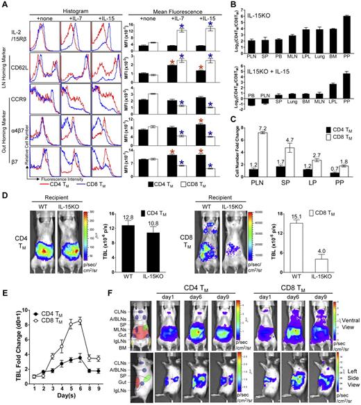 Figure 6. Homeostatic cytokines regulate the differentiated expression of gut-homing markers on CD4 and CD8 TMs in vitro and in vivo. (A) IL-7 and IL-15 regulation of homing marker expression on MP CD4 and CD8 TMs in vitro. MP CD4 and CD8 TMs (gated as CD4+CD25−CD44hi or CD8+CD44hi, respectively) purified from the spleen of 1-year-old B6 mice (pool of 8 mice) were cultured in triplicates in vitro for 3 days in the presence or absence of 100 ng/mL of IL-7 or IL-15. Their expression of homing markers, as well as IL-2/15Rβ (CD122), was measured by flow cytometry. Data are shown as histogram plots and measurements of mean fluorescence intensity (MFI, presented as mean of triplicates ± SEM), and are representative of at least 3 independent experiments. Red or blue *P < .05 (CD4 or CD8 TMs cultured with cytokine compared with CD4 or CD8 TMs cultured without cytokine). (B-C) Quantification of MP CD4 and CD8 TMs (gated as CD4+CD25−CD44hi and CD8+TCRβ+CD44hi, respectively) in 9-month-old IL-15KO mice with or without supplementation of IL-15 (IP 10μg daily for 5 sequential days). (B) Tissue distribution of CD4 and CD8 TMs. (C) The fold changes of CD4 and CD8 TM numbers in response to IL-15 treatment in indicated tissues. Data are shown as mean ± SEM (n = 3). (D) Comparison of CD4 and CD8 TM formation in WT or IL-15KO mice using BLI. MFG-labeled B6 CD4 or CD8 TEs (1 × 106) were adoptively transferred into either WT (B6) or IL-15KO recipient mice. Representative BLI images and the measurements of TBL (shown as mean ± SEM) of the indicated recipients collected 1 month after transfer are shown (n = 3). (E,F) The impact of IL-15 supplement on the homeostasis and homing of CD4 and CD8 TMs studied using BLI. MFG-labeled WT (B6) CD4 or CD8 TEs (5 × 106) were transferred into IL-15KO recipient mice. One month later, the recipients were supplemented with IL-15 (IP 10μg daily for 5 sequential days). (E) Time-course tracking of the fold change of TBL of the indicated recipients. Data are presented as mean ± SEM. (F) Representative BLI images of the indicated recipients on day 1 (right before the 1st IL-15 administration), day 6, and day 9. N = 4. Schematics showing the individual tissue localization in mice (ventral view and left side view) are provided for reference.