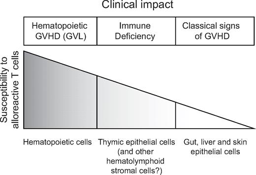 Figure 1. Schematic working model for the relation between susceptibility to alloreactive T cells and GVHD and GVL. Of note, organs such as the heart and kidney are spared by GVHD and are therefore not shown in this figure.