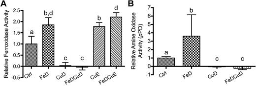 Figure 5. Spectrophotometric Cp enzyme activity assays. (A) Fz assays. (B) pPD assays. For both panels, bars with different letters atop error bars are statistically different (P < .05) from each other. Data are expressed as means ± SD. For panel A, Ctrl, n = 12; FeD and FeDCuE, n = 11; FeDCuD and CuE, n = 8; and CuD, n = 7. For panel B, Ctrl and FeD, n = 7; CuD, n = 2; and FeDCuD, n = 4. Note that for Fz assay, we included additional samples derived from rats that were from a different study in which the dietary protocol and animal ages were identical.