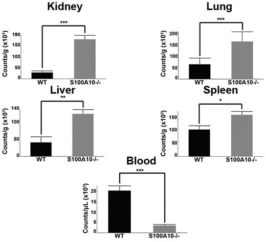 Figure 2. S100A10−/− mice have impaired ability to clear induced fibrin clots. WT and S100A10−/− mice were injected with 125I-fibrinogen and batroxobin. After 2 hours, tissues were collected, weighed, and radioactivity was measured with a γ counter. The data are expressed as counts per gram of tissue. Statistical analysis was performed with the Student t test, and the data are expressed as the mean (±) SEM of 6 independent experiments (*P < .1, **P < .01, ***P < .001). Figures were generated with Adobe Photoshop CS3 Version 10 (Adobe Systems Incorporated).