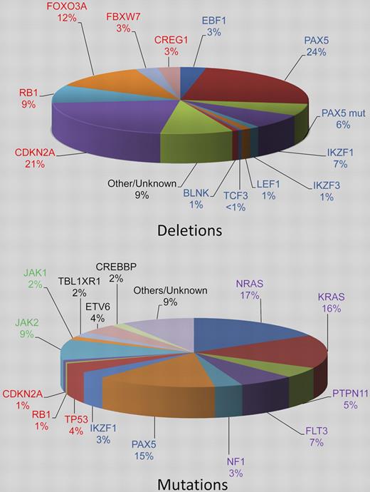 Pie charts estimating the relative incidences of deletions and somatic mutations in the key signaling pathways in childhood BCP-ALL. The genes are color coded according to the pathway to which they belong: B-cell differentiation and development, blue; TP53/RB1, red; Ras signaling, purple; JAK/STAT, green, noncanonical pathways and other/unknown genes, black. Deletions in the top chart are shown for the B-cell differentiation and development and TP53/RB1 pathways only and the percentages are estimated from data in 3 publications.3–5 The PAX5 mutation rate stated by Mullighan et al3 is given (PAX5 mut). The relative incidences of the mutations in the bottom chart are estimated from Zhang et al.1