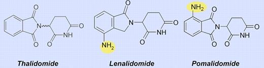 Molecular structure of IMiDs.