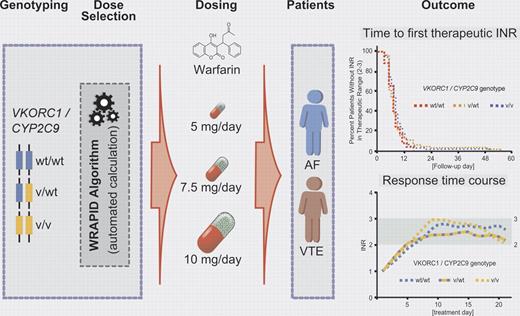 Pharmacogenetics-guided initiation dosing of warfarin in patients with atrial fibrillation (AF) and venous thromboembolism (VT).