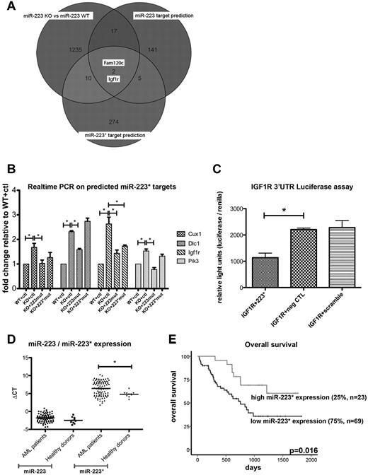 Figure 2. Quantification of miR-223* and miR-223* targets. (A) Venn diagram comparing differentially expressed genes (shown as transcript cluster IDs), assessed by mRNA microarrays with predicted mRNA targets (shown as transcript cluster IDs). (B) Quantification of Cux1, Igf1r, Dlc1, and Pik3cd by real-time PCR in miR-223KO cells expressing strand-inactivating constructs (n = 3). ctl indicates control. (C) IGF1R luciferase assay. neg CTL indicates negative control. (D) Comparison of miR-223 and miR-223* levels in healthy donors (n = 10) and AML patients with normal cytogenetics (n = 92). The y-axis depicts ΔCT (miRNA−miR-92) values. (E) miR-223* levels measured in 92 AML patients with normal cytogenetics by real-time PCR. Overall survival was plotted on miR-223* levels dichotomized to the 75th percentile. *P < .05