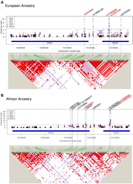 Figure 1. Gene variants in NTRK1 and PEAR1 associated with platelet function after aspirin treatment and linkage disequilibrium at the locus. (A) EA ancestry and (B) African ancestry. In both figures, the top panel shows the strength of association between individual SNPs along the locus (genetic coordinates chromosome 1:155050166 to 155154850, NCBI build 36.3) and platelet function phenotypes. Col2 and 5 indicate aggregation to collagen 2 and 5 μg/mL, respectively; ADP2 and 10, aggregation to ADP 2 and 10μM, respectively; Epi2 and 10, aggregation to epinephrine 2 and 10μM, respectively. Red dotted line signifies Bonferroni corrected significance threshold (3.19 × 10−5); rs numbers across the top signify SNPs reaching the significance threshold (red font denotes significance for both ancestries, black font denotes significance for one ancestry). Chromosomal coordinates for the NTRK1 and PEAR1 genes within the locus are shown by blue bars. In both figures, the bottom panel shows linkage equilibrium among SNPs in the region. The pairwise strength of association between SNPs (D') is signified by depth of color of shaded areas (white = 0, dark red = 1.0). Areas within triangles signify LD blocks.