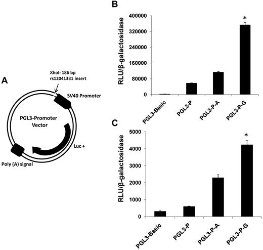 Figure 3. PEAR1 rs12041331 gene variant modifies expression of luciferase in a gene reporter assay. (A) PGL3 promoter vector construct showing the insertion site for a 186-bp sequence of intron1 of PEAR1 spanning the A allele or G allele of rs12041331. Luc+ indicates luciferase gene. (B) Expression of luciferase in MEG-01 cells cotransfected with plasmids containing PGL3 and β-galactosidase. (C) Expression of luciferase in HUVECs cotransfected with plasmids containing PGL3 and β-galactosidase. Luciferase expression is shown by relative light units of luciferase (RLUs) normalized to absorption (OD) of β-galactosidase activity. PGL3 basic indicates luciferase gene plasmid without promoter; PGL3-P, luciferase gene plasmid with SV40 promoter; PGL3-P-A, luciferase gene plasmid with SV40 promoter and A allele–containing insert cloned from PEAR1; PGL3-P-G, luciferase gene plasmid with SV40 promoter and G allele–containing insert cloned from PEAR1. Results are displayed as mean ± SD; *P < .001 for difference among groups by ANOVA; n = 3.