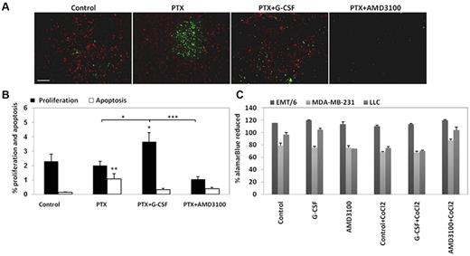 Figure 5. Evaluation of tumor cell proliferation and apoptosis in LLC tumors after treatment with PTX or PTX in combination with either G-CSF or AMD3100. (A) C57Bl/6 mice bearing 500 mm3 LLC tumors (n = 4-5 mice per group) were treated with PTX or PTX in combination with either G-CSF or AMD3100. Tumors were removed 3 days later and evaluated for proliferation (red) and apoptosis (green; scale bar = 200 μm). (B) Quantification of perfusion and hypoxia is expressed as percentage. (C) EMT/6, MDA-MB-231, and LLC cells were cultured in the presence of G-CSF or AMD3100 with or without CoCl2. Cell proliferation was evaluated quantitatively with the metabolic indicator dye alamarBlue. Results are presented as the percentage of alamarBlue reduction and were corrected to background values of negative controls.