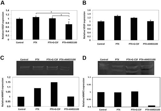 Figure 6. Analysis of VEGF-A, and MMP-2 levels in tumors after treatment with PTX, PTX and G-CSF or PTX and AMD3100. (A,C) C57Bl/6 mice bearing 500 mm3 LLC tumors (n = 3 mice per group) or (B,D) BALB/c mice bearing 500 mm3 EMT/6 tumors (n = 3 mice per group) were treated with PTX or PTX in combination with either G-CSF or AMD3100. Tumors were removed 3 days later and tumor lysates were evaluated for (A-B) MMP-2 expression by zymography, and (C-D) VEGF-A expression by ELISA. Summary of data are presented in graphs.