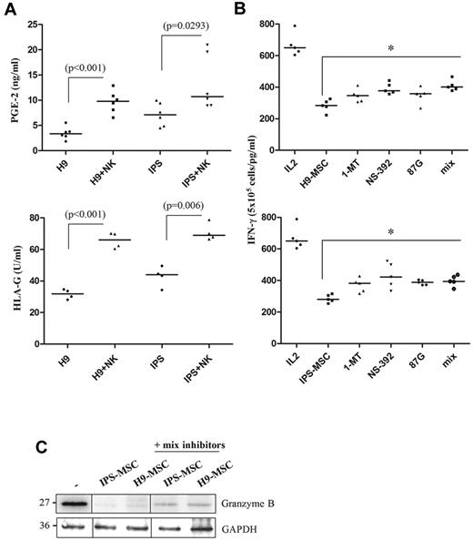 Figure 5. Role of soluble factors secreted by MSCs in NK-cell activation. (A) Secretion of PGE-2 (ng/mL) and HLA-G (U/mL) by MSCs during the culture with NK cells was evaluated by ELISA assay. Results are representative of 5 independent experiments and are shown as the means ± SD of triplicate samples. Statistically significant differences between MSCs cultured or not with NK cells are indicated by asterisks (***P < .001; **P < .01). (B) Freshly isolated NK cells were stimulated for 4 days with IL-2 (250 U/mL) in the presence of MSCs. Inhibitors of IDO activity (1-MT, 1mM), PGE-2 secretion (NS-398, 5μM) and HLA-G neutralizing antibody (87G, 10μg/mL) were added at the start of the culture. Granzyme B expression was determined by Western blot using anti-granzyme B mAb. (C) Secretion of IFN-γ in IL-2–activated NK cells in presence of MSCs and soluble factors inhibitors was evaluated by ELISA assay. Results are representative of 5 independent experiments and are shown as the means ± SD of triplicate samples. Statistically significant differences between NK cells cultured with MSCs in presence or not with soluble inhibitors are indicated by asterisks (***P < .001; *P < .05).