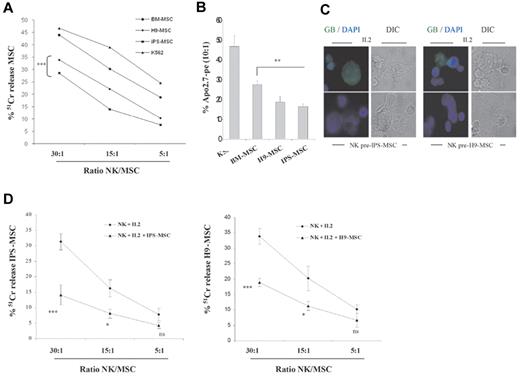 Figure 7. IPS-MSCs and H9-MSCs are more resistant to activated NK cytolysis than BM-MSCs. NK cells stimulated with IL-2 for 48 hours were cocultured with MSCs for 4 hours. Activated NK cells were tested in a 4-hour 51Cr-release assay against H9-MSCs (♦), IPS-MSCs (■) or BM-MSCs (●) at different NK/MSC ratios (A). (B) MSCs were cultured for 4 hours with activated NK cells (ratio NK/MSC, 10:1) and then stained with an anti-Apo2.7–PE for 30 minutes at 4°C to evaluate their apoptosis. All experiments were done in triplicate. K562 cells (▴) were used as a positive control for NK cells. The interaction between NK cells and MSCs was visualized by fluorescence microscopy. (C) IPS-MSCs or H9-MSCs were mixed with activated (IL-2) or MSC-cultured NK cells (preIPS-MSCs or preH9-MSCs; ratio 2:1) and cultured for 20 minutes at 37°C on a poly-lysine–coated slide. Granule polarization, as defined by the accumulation of granzyme B (green) staining in the contact area between NK cells and MSC, after 30 minutes of coculture, was analyzed by fluorescence microscopy using a specific mAb. Nuclei were stained with DAPI (blue stain). In the differential interference contrast micrograph (DIC), on the left (63×), a human NK cell is shown conjugated to a MSC. One representative experiment, of at least 4 independent experiments, is shown. (D) NK cells were tested in a 4-hour 51Cr-release assay against IPS-MSCs or H9-MSCs at different E/T ratios. The panels show IL-2–activated NK cells against IPS-MSCs or H9-MSCs. Pretreatment with IPS-MSCs or H9-MSCs strongly decreased the killing potential of NK cells. Results are representative of 5 independent experiments and are shown as the means ± SD of triplicate samples. Statistically significant differences between NK cells cultured with or with MSCs are indicated by asterisks (***P < .001; **P < .01).