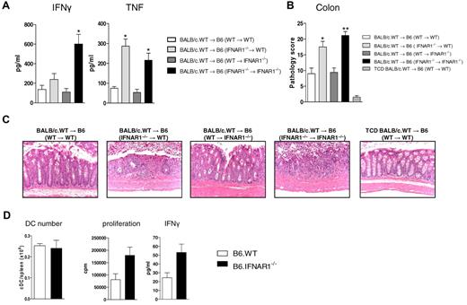 Figure 3. Type I-IFN signaling in the hematopoietic compartment of recipients of BM transplantation protects from GVHD. B6 chimeras were generated as described in “BM transplantation” and underwent transplantation 4 months later with 107 BM and 5 × 106 T cells from BALB/c.WT donors. (A) Serum cytokine levels were assessed at day 4 (IFNγ): *P < .05, B6 (WT→WT) vs B6 (IFNAR1−/−→IFNAR1−/−), n = 6 per group, combined from 2 experiments) or day 7 (TNF: *P < .05, B6 (WT→WT) vs B6 (IFNAR1−/−→WT) and B6 (IFNAR1−/−→IFNAR1−/−), n = 4-7 per group) after transplantation. (B) Semiquantitative colon histopathology at day 7 after BM transplantation (*P < .05, B6 (WT→WT) vs B6 (IFNAR1−/−→WT) and **P < .01, B6 (WT→WT) vs B6 (IFNAR1−/−→IFNAR1−/−), n = 4-7 per T cell–replete group). (C) Representative images are shown (× 250). (D) B6.WT or B6.IFNAR1−/− mice were lethally irradiated and 24 hours later, cDC enumerated, sorted, and cultured with BALB/c CD4+ T cells at 1:10 ratio for 5 days. Tissue culture supernatant was harvested (for IFNγ) and proliferation quantified by tritiated thymidine uptake during the final 18 hours. Representative plots from 2 duplicate experiments and displayed as mean ± SEM of triplicate wells.
