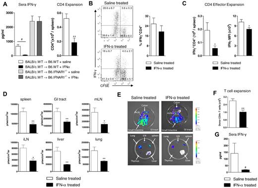 Figure 4. Treatment with IFN-α before transplantation inhibits Th1 differentiation and protects from GVHD. Recipient B6.WT or B6.IFNAR1−/− mice received either IFN-α or saline immediately after total-body irradiation and were transplanted the following day with BM + T cells from BALB/c.CD45.1+ donors. (A) Serum cytokine levels of IFN-γ were assessed (pooled data from 2 experiments; #P < .005, saline vs IFN-α, n = 11, 11, 7, 7) and donor CD4+ T cells were enumerated in the spleen 4 days later (pooled data from 2 experiments; **P < .01, saline vs IFN-α; n = 6 per group). (B) IFN-γ production from CD4+ T cells stimulated ex vivo for 5 hours was determined by intracellular cytokine staining. Plots shown are representative of 3 experiments and displayed as mean ± SEM, n = 9 per group. (C) CD4+IFN-γ–producing cells were enumerated in the spleen and MFI determined. Plots shown are representative of 3 experiments and displayed as mean ± SEM, n = 9 per group. Lethally irradiated B6D2F1 recipients received B6.WT BM (107) + B6luc+ T cells (2 × 106). (D) Luminescence was quantified at day 7 after transplant (*P < .05, saline vs IFN-α treatment in mLN and iLN; **P < .01, saline vs IFN-α treatment in spleen, gastrointestinal tract, liver and lung, n = 5 per group). (E) Representative biophotonic images are shown as labeled. (F) Donor CD4+ T-cell expansion was quantified on day 4 (**P < .01, saline vs IFN-α treatment, n = 10 per group) and (G) serum IFN-γ analyzed at day 3 after transplantation (#P < .005, saline vs IFN-α, n = 10 per group).