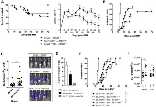 Figure 6. GVHD and GVL responses are enhanced by type I-IFN signaling in donor grafts. (A) Survival and clinical scores in lethally irradiated B6D2F1 mice transplanted with 5 × 106 BM and 2 × 106 T cells from either B6.WT or B6.IFNAR1−/− donors (#P < .005, **P < .01, *P < .05; combined data from 3 experiments, n = 26-30 in BM + T groups, n = 13 in TCD controls). (B) Leukemic death after administration of host derived P815luc+ tumor (5 × 103) with the donor graft (*P < .05, B6.WT vs B6.IFNAR1−/− donors; combined data from 2 experiments, n = 18 in BM + T groups, n = 8 in TCD control groups). (C) Bioluminescence at day 12 after transplantation with P815luc+ tumor (**P < .01, B6.WT vs B6.IFNAR1−/− donors; combined data from 2 experiments, n = 18 per gp) with representative images shown. (D) In vivo cytotoxicity index at day 12 after BM transplantation (data combined from 2 experiments and expressed as mean ± SEM; *P < .05, B6.WT vs B6.IFNAR1−/− donors, n = 7-11 per group). (E) Leukemic death after transplantation of lethally irradiated B6D2F1 mice with a combination of either B6.WT or B6.IFNAR1−/− BM with B6.WT or B6.IFNAR1−/− T cells and P815luc+ tumor (**P < .01, *P < .05, combined data from 2 experiments, n = 16 in BM + T groups, n = 8 in TCD). (F) B6.WT recipients were lethally irradiated and 24 hours later 107 BM and 106 CD8+ T cells from C3H.SW donors transplanted with 2.5 × 104 EL-4luc+ tumor. After the establishment of low-level tumor as determined by bioluminescence, recombinant IFNα or saline was administered every other day and tumor burden assessed 1 week later (data combined from 2 experiments and expressed as mean ± SEM; **P < .01 saline day 0 vs day 7).