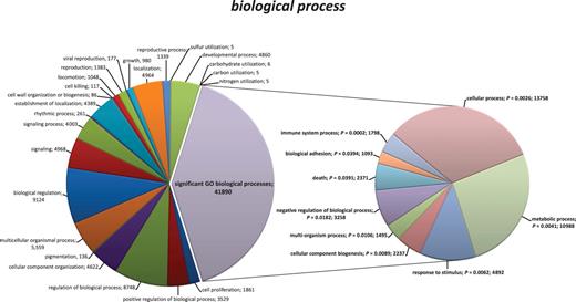 Figure 3. Pie charts of the functional annotation of identified transcripts from CD14++CD16+ and CD14+CD16++ monocytes based on GO categorization (biological process). Using GO categories, transcripts of CD14++CD16+ and CD14+CD16++ monocytes were categorized by the function of their encoded protein products. GO terms with statistical significant difference in gene expression are highlighted and projected into the right pie chart. Fisher exact test (2-tailed test) was used to compare groups for significant enrichment of particular GO classes. Numbers of transcripts for each GO term are given. All data are presented at level 2 GO categorization.
