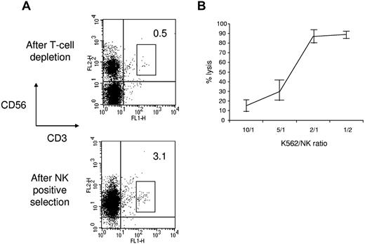 Figure 1. Donor NK-cell purification. (A) Flow cytometric analysis of NK cells after T-cell depletion and after CD56+ cell positive selection. The results are representative of the whole patient population. (B) NK cells obtained after purification were tested against K562 cells in a flow cytometric–based cytotoxicity test. The results represent the mean ± SD of 6 independent experiments.