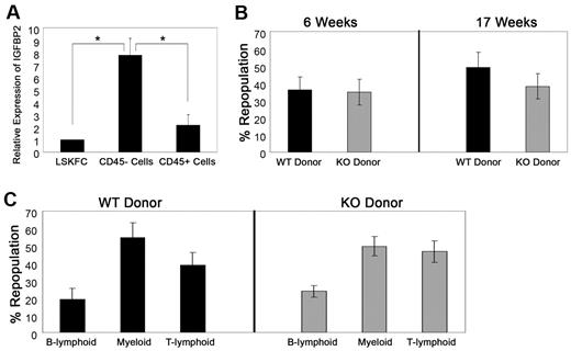 Figure 2. IGFBP2 has little cell-autonomous effect on HSCs. (A) Lin−Sca-1+Kit+Flk2−CD34−, hematopoietic CD45+, and nonhematopoietic CD45− stromal cells were freshly isolated from BM, and IGFBP2 gene expression was determined by real-time RT-PCR (n = 4-5). (B) Five hundred freshly isolated CD45.2 Lin−Sca-1+Kit+Flk2−CD34− cells from WT or IGFBP2-null mice were cotransplanted with 1 × 105 CD45.1 total BM cells into CD45.1 recipients, and the ST and LT donor repopulating activities were evaluated at indicated time after transplantation (n = 8). (C) Different donor lineages from long-term repopulation were determined. Representative data from 1 of 2 independent experiments that gave similar results are shown.