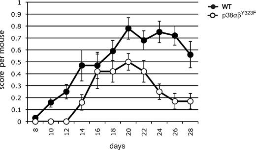 Figure 7. p38 αβY323F mice have reduced susceptibility to EAE. WT or p38αβY323F mice were injected with MOG35-55 in CFA. EAE clinical scores were determined between days 8 and 28 after injection, and each point represents the mean per animal ± SEM collected from 3 independent experiments (WT, n = 13; p38αβY323F, n = 8).