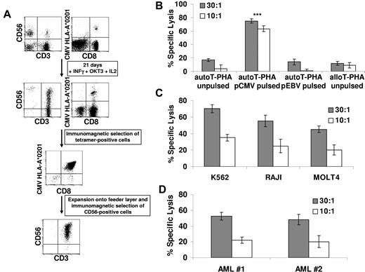 Figure 4. CMV-specific CIK cells maintain their Ag specificity and acquire HLA-unrestricted cytotoxicity. (A) Peripheral blood lymphocytes from HLA-A*0201 seropositive donors were expanded for 21 days in the presence of IFN-γ, OKT3, and IL-2, and the percentage of anti–CMV-specific cells was measured at the end of culture by tetramer binding. CMV-specific CIK cells were isolated by immunomagnetic selection and expanded onto irradiated allogeneic feeder layer for further 2 weeks. At the end of the culture, CD56+ CMV-specific CIK cells were immunoselected. The dot plots of CD3-CD56 and HLA-A*0201/pp65495-503 tetramer-CD8 staining, obtained during a representative experiment, are shown. (B) Cytotoxic activity of expanded CMV-specific CIK cells was determined on unpulsed, CMV-pulsed, EBV-pulsed autologous T–PHA-induced blasts and on unpulsed allogeneic T–PHA-induced blasts in calcein-release assays. The data were obtained from 3 independent experiments and were analyzed by Student t test; ***P < .005. (C-D) MHC-unrestricted cytotoxic activity of expanded CMV-specific CIK cells against a panel of malignant cell lines (C) or against freshly isolated myeloid leukemic cells (D) was determined in calcein-release assays. The results show the mean ± SD values of 3 independent experiments.