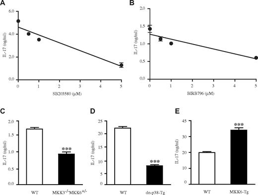 Figure 1. p38 MAPK regulates IL-17 production by in vitro–generated Th17 cells. FACS-sorted CD4 T cells from WT B6 mice in vitro differentiated into Th17 cells in the presence of different concentrations of SB203580 (A) or BIRB796 (B) for 72 hours. IL-17 production by Th17-polarized FACS-sorted CD4 T cells from WT B6 or MKK3−/−MKK6+/− mice (C) or total CD4 T cells from WT B10.BR and dn-p38-Tg (D) or MKK6 Tg (E) differentiated into Th17 cells. IL-17 levels in the supernatants were assessed by ELISA. The significance of differences observed in panels A and B was determined by linear regression analysis (A, P < .0001; B, P = .0001). The significance of the differences observed in panels C-E was determined using the Student t test (*** ≤ 0.001).