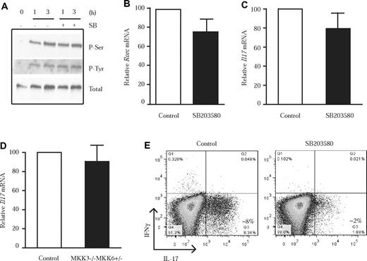 Figure 2. p38 MAPK controls IL-17 production at the posttranscriptional level. (A) FACS-sorted CD4 T cells from WT B6 mice were differentiated into Th17 cells in the absence or presence of SB203580 (5μM) for the indicated periods of time. The phosphorylation of STAT3 at Ser727 (P-Ser) or at Tyr705 (P-Tyr) was examined by Western blot analysis. Total STAT3 (Total) is also shown. FACS-sorted CD4 T cells from WT mice were activated under Th17 conditions in the absence (control) or presence of SB203580 for 48h. Relative Rorc (B) and Il17 (C) mRNA levels were examined by quantitative real-time PCR using β2-microglobulin as the endogenous control. (D) Relative Il17 mRNA levels in FACS-sorted CD4 T cells from WT B6 and MKK3−/−MKK6+/− mice activated under Th17 conditions for 48h. (E) Intracellular staining for IL-17 and IFNγ in WT total CD4 T cells differentiated into Th17 cells in the absence (control) or presence of SB203580 for 72 hours.