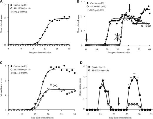 Figure 5. p38 MAPK blockade ameliorates EAE. (A) Clinical course of EAE in B6 mice immunized with 2× MOG35-55-CFA treated with either carrier or SB203580. (B) Clinical course of EAE in B6 mice immunized with 2× MOG35-55-CFA treated with either carrier or SB203580 starting on day 0 (first arrow), treatment terminated on day 31 (arrow with cross), and retreated from day 41 through day 60 (second arrow). (C) Clinical course of EAE in B6 mice immunized with 2× MOG35-55-CFA and randomly selected for treatment with either carrier or SB203580 on reaching a clinical score ≥ 1. (D) Remitting-relapsing EAE course in SJL mice immunized with 2× PLP135-151-CFA. After the initial episode of EAE and after 2 days of remission defined as a score of 0 for a minimum of 2 days, mice were treated with either carrier or SB203580 (arrow). The significance of the differences between the clinical courses of disease in panels A and B (day 0-day 40), and panel C was calculated by regression analysis and best-fit curves are shown. In pane D, 2-way ANOVA followed by Bonferroni posthoc comparisons was used to determine significant differences in disease severity for individual days (*P = .01, **P = .001).