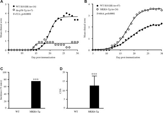 Figure 6. Modulation of p38 MAPK activity specifically in T cells influences EAE susceptibility and severity. (A) Clinical course of EAE in WT B10.BR and dn-p38-Tg mice immunized with 1× MOG97-114-CFA + PTX. (B) Clinical course of EAE in WT and MKK6-Tg mice immunized with 1× MOG97-114-CFA + PTX. (A-B) Significance of the differences in the clinical course of disease was determined by regression analysis and the best-fit curves are shown. (C-D) EAE was induced in WT (n = 29) and MKK6-Tg (n = 8) mice by immunization with 1× PLP190-209-CFA + PTX. The incidence (C) and the cumulative disease score (CDS; D) are shown. The significance of the differences was determined using the independent samples t test within SPSS (Levene test for equality of variances and t test for equality of means; ***≤ 0.001).