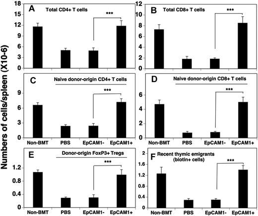 Figure 2. mESC-derived TEP treatment results in enhanced numbers of total, naive, and regulatory T cells in the spleen after allo-BMT. (A-E) Lethally irradiated C57BL/6 mice were injected intrathymically with mESC-derived EpCAM1+, EpCAM1− cells, or PBS, and intravenously with TCD-BM from BALB/c mice as in Figure 1B. Thirty days after BMT, the numbers of splenic (A-B) total, (C-D) donor-origin naive CD4+ and CD8+ T cells, and (E) donor-origin regulatory T cells (CD4+ CD25+ FoxP3+) were evaluated by flow cytometry. (F) Groups of mice were injected intrathymically with biotin at 30 days after BMT. After 24 hours of in vivo labeling, the export of thymus-derived T cells into the spleen was evaluated. Means ± SDs are presented (n = 5-6). ***P < .001. The data are representative of 3 independent experiments.