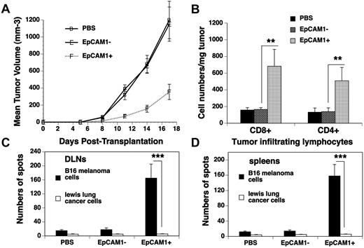 Figure 5. GVT activity is enhanced in mESC-derived TEP-treated BM transplant recipients. Lethally irradiated C57BL/6 mice were injected intrathymically with mESC-derived EpCAM1+, EpCAM1− cells, or PBS, and intravenously with 5 × 106 TCD BM from BALB/c mice. At day 14 after BMT, the recipients were injected subcutaneously with B16F10 melanoma cells. (A) The mean tumor volume (in mm3) ± SD are shown. (B-D) At day 17 after tumor injection, single-cell suspensions from (B) the tumors were analyzed for CD4+ and CD8+ T cells (mean cell number/mg of tumor ± SD); (C) DLNs and (D) spleens were cultured with irradiated B16F10 melanoma or Lewis lung cancer cells. ELISPOT assays were then performed for IFN-γ+ cells. Mean number of spots/1 × 105 T cells ± SD are presented (n = 5-6). **P < .01 and ***P < .001. The data are representative of 2 independent experiments.