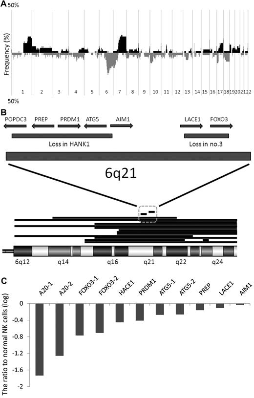 Figure 1. Genomic and expression profiles of NK-cell neoplasms. (A) Frequency of genomic aberrations analyzed by oligo-array CGH. Thirty-two clinical samples and 7 cell lines were analyzed. Each probe is aligned from chromosome 1 to 22 and p to q. The vertical axis indicates penetrance of the genomic aberration among the analyzed cases. The black area shows gain/amplification and the gray area shows loss/deletion. (B) Genomic aberration of chromosome 6q15-25, the most frequently deleted region of the whole genome except for chromosomes X and Y. Fifteen cases with a 6q deletion are described. Each deleted region is indicated as a horizontal bar. Two narrow, independently deleted regions (∼ 1.5 Mb) are observed in HANK1 and clinical case number 3, and are the most frequently deleted MCRs. The deleted region in HANK1 includes POPDC3, PREP, PRDM1, ATG5, and AIM1, and the deleted region in clinical case number 3 includes LACE1 and FOXO3. (C) Gene-expression profiles were analyzed in 7 cell lines and 11 clinical samples using oligo-microarray. Candidate genes selected by genomic analysis are described. The probe intensity was converted to a numerical value, and the z-score was calculated as described in supplemental Methods. The vertical axis indicates the difference in average value between normal NK cells (n = 3) and neoplastic samples (n = 18). TNFAIP3 (A20), FOXO3, and ATG5 possess 2 probes. A20-1: A_24_P166527, A20-2: A_24_P157926, FOXO3-1: A_32_P102062, FOXO3-2: A_23_P345575, ATG5-1: A_24_P175059, ATG5-2: A_23_P111381. Most of the candidate genes, and in particular FOXO3 and A20, were down-regulated in neoplastic samples compared with normal NK cells, whereas a negligible difference was observed for AIM1.