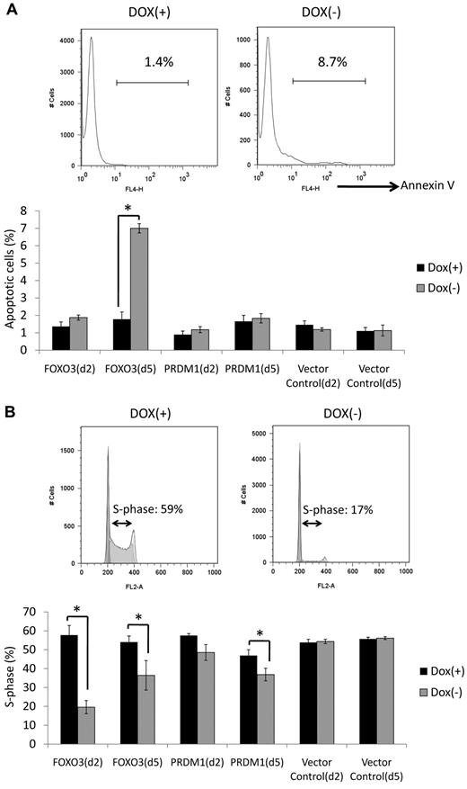 Figure 3. Apoptosis and cell-cycle assays. (A) Apoptosis assay. Annexin V–positive cells were quantified by flow cytometry at days 2 and 5 after removal of doxycycline. The top panel shows a representative result of FOXO3–re-expressing cells at day 5. More apoptotic cells were observed under conditions with doxycycline treatment than those without doxycycline treatment. The bottom panel indicates the proportion of annexin V–positive cells at days 2 and 5. FOXO3 re-expression increased the amount of apoptotic cells at day 5, whereas no clear changes were observed in PRDM1–re-expressing cells at days 2 or 5. Experiments were performed in triplicate and standard deviations and average scores are shown. Dox indicates doxycycline. *Significantly different Dox(−) and Dox(+) samples (P < .05). (B) Cell-cycle assay assays conducted using PI at days 2 and 5. The top panel shows a representative result of FOXO3 re-expressing cells at day 2. The proportion of S-phase cells was lower under conditions without doxycycline treatment than those with doxycycline treatment. The bottom panel shows the proportion of S-phase cells at days 2 and 5. FOXO3 re-expression decreased the proportion of S-phase cells at days 2 and 5, whereas a decrease in the proportion of S-phase cells only occurred at day 5 with PRDM1 re-expression. Experiments were performed in triplicate and standard deviations and average scores are shown. *Significantly different Dox(−) and Dox(+) samples (P < .05).