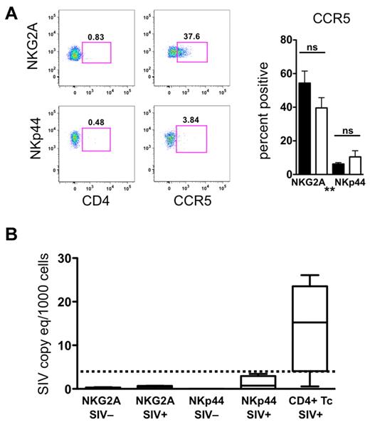 Figure 3. Mucosal NK cells are not infected by SIV in vivo. (A) Cell surface expression of CD4 and CCR5 on mucosal NKG2A+ and NKp44+ NK cells. Bars represent means ± SEM of 8 animals per group. Mann-Whitney U tests were used for naïve versus SIV comparisons and Wilcoxon matched pairs tests were used to compare NKG2A+ and NKp44+ NK cells (*P < .05, **P < .01, ***P < .001). (B) RT-PCR analysis was used to quantify SIV RNA in NKG2A+ and NKp44+ NK cells and CD4+ T cells sorted from rectal mucosa of normal and SIV-infected macaques. The lower limit of detection of the assay was 3 SIV RNA copies/1000 cells and is indicated by the dashed bar.