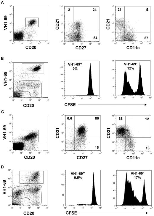 Figure 1. Phenotype and proliferative responses of CD21low and CD21high VH1-69+ B cells. (A-B) FACS plots from a representative (n = 8) MC patient with predominance of CD21low VH1-69+ B cells. (A) Expression of surface markers by electronically gated VH1-69+ B cells stained with the G6 antibody.4 (B) Gating strategy for the analysis of proliferative responses of VH1-69+ and VH1-69− B cells to CpG (2.5 μg/mL, 5-day culture). Cells were permeabilized before staining. The regions of analysis encompass CD20+ B cells and CD20low/neg plasmablasts, which were also characterized as CD38+ cytoplasmic-IgMhigh cells (not shown). Plasmablasts are present only in the VH1-69− gating region. Percent values in the histograms denote the number of cells entering division (precursor cohort5). (C-D) FACS plots from a representative (n = 3) MC patient with highly enriched CD21high VH1-69+ B cells. Analyses of surface marker expression (C) and of proliferative responses to CpG (D) were done as in panels A and B, respectively.