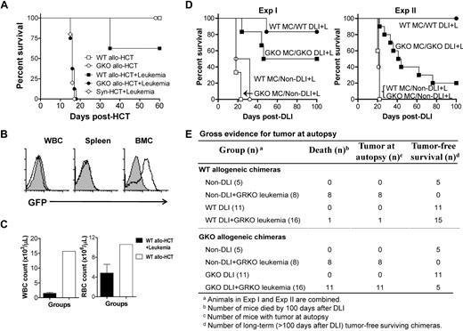 Figure 2. IFN-γ promotes GVL effects against GRKO leukemia. (A-C) Lethally-irradiated B6 mice received T cell–depleted (TCD) B6 BMCs (5 × 106) plus allogeneic TCD BMCs (7.5 × 106) and CD4-dep splenocytes (8.5 × 106) from WT (WT allo-HCT; n = 8) or GKO (GKO allo-HCT; n = 8) BALB/c donors. Three groups of leukemic recipients, including those receiving TCD B6 BMCs alone (Syn-HCT+Leukemia; n = 5), TCD B6 BMCs plus WT BALB/c TCD BMCs and CD4-dep splenocytes (WT allo-HCT+Leukemia; n = 7), or TCD B6 BMCs plus GKO BALB/c TCD BMCs and CD4-dep splenocytes (GKO allo-HCT+Leukemia; n = 7), were injected with 3 × 105 GRKO leukemia cells at the time of HCT. (A) Survival. (B) Flow cytometric analysis of GFP+ cells in WBCs, spleen and BM from representative leukemic (WT allo-HCT+Leukemia; open histogram) and nonleukemic (WT allo-HCT; filled histogram) mice receiving WT CD4-dep allo-HCT. (C) WBC (left) and RBC (right) counts of leukemic (WT allo-HCT+Leukemia) versus nonleukemic (WT allo-HCT) mice receiving WT CD4-dep allo-HCT. (D-E) Lethally-irradiated CBF1 mice were reconstituted with a mixture of TCD CBF1 plus WT or GKO BALB/c mouse BMCs. Eight weeks later, these BM chimeras were administered either GRKO leukemia cells (1 × 106 or 1.5 × 106 cells per mouse for Exp I and Exp II, respectively) alone or along with DLI. DLI was performed by injection of 3.5 × 107 (Exp I) or 4.5 × 107 (Exp II) splenocytes from WT or GKO B6 mice into the WT and GKO BM chimeras, respectively. (D) Survival of WT mixed chimeras that received leukemia cells alone (WT MC/NonDLI+L; ○) or along with WT DLI (WT MC/WT DLI+L; ●), and GKO mixed chimeras that received leukemia cells alone (GKO MC/NonDLI+L; □) or along with GKO DLI (GKO MC/GKO DLI+L; ■). The survival curves of the nonleukemic chimeras (with or without DLI), which all survived long-term (see panel E and supplemental Figure 2), are not shown in the figure for the sake of clarity. (E) Gross evidence for tumor at autopsy. Results from Exp I and Exp II are combined.