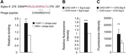 Figure 1. Siglec-9 interacts with VAP-1. (A) The amino acid sequence of the enriched phage clone, the corresponding region of Siglec-9, and the adhesion of the phage peptide to recombinant VAP-1 (rVAP-1 100 ng/well) were measured using enzyme immunoassay. The results are mean ± SEM from 3 separate experiments and triplicate wells in each experiment. (B) Binding of the Siglec-9 peptide (Sig-9 pept marked red in panel A) to CHO-VAP-1 transfectants and CHO-mock controls. The results are presented as relative fluorescence intensity and are mean ± SEM from 2 separate experiments each having triplicate wells. (C) Binding of CFSE-labeled Siglec-9 transfectants to CHO cells expressing VAP-1 and mock controls. The results are mean ± SEM of fluorescent intensities measured by fluorometer from 7 separate experiments each having duplicate wells. **P < .01. ***P < .001.