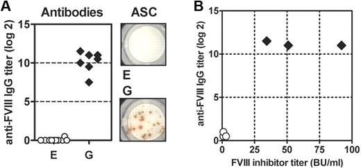 Figure 2. Transgenic mice of sublines E and G differ in their antibody responses to human FVIII. Mice were treated with 8 weekly intravenous doses of human FVIII. Blood for antibody analysis and spleens for the analysis of antibody-secreting cells (ASC) were collected 1 week after the last dose. (A) Titers of anti–human FVIII IgG antibodies were detected by ELISA. Antibody titers were shown for individual mice. Anti-FVIII antibody-secreting cells (ASC) were analyzed by ELISPOT. Results obtained from a representative mouse are shown. Each spot corresponds to 1 ASC. (B) Plasma samples from 3 mice of each subline were analyzed for both titers of anti–human FVIII IgG antibodies by ELISA and FVIII inhibitor titers by Bethesda assay.