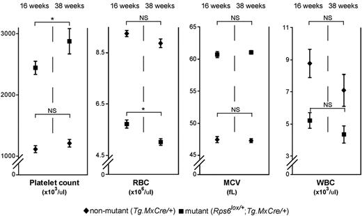 Figure 2. Effects of BM-specific Rps6 hemizygosity on peripheral blood cell counts. Adult (7- to 9-week-old) Tg.MxCre/+ (n = 12) and Rps6lox/+;Tg.MxCre/+ (n = 16) animals were treated with polyI:C and blood cell counts (± SEM) determined 16 weeks and 38 weeks later. P values refer to a 2-tailed paired t test comparing the 16- and 38-week time points within a genotype, *P < .05; NS indicates not significant; and WBC, white blood cell count.